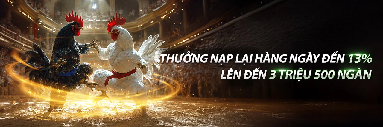 Sân đấu đá gà ALO789 sôi động